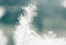 FRP通过自定义域名访问内网的 Web 服务