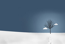 树莓派+motion安装摄像头实现远程监控