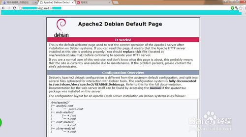 树莓派+花生壳搭建web服务器